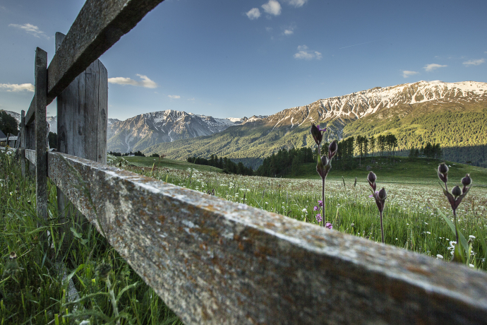 Frühling im Val Müstair
