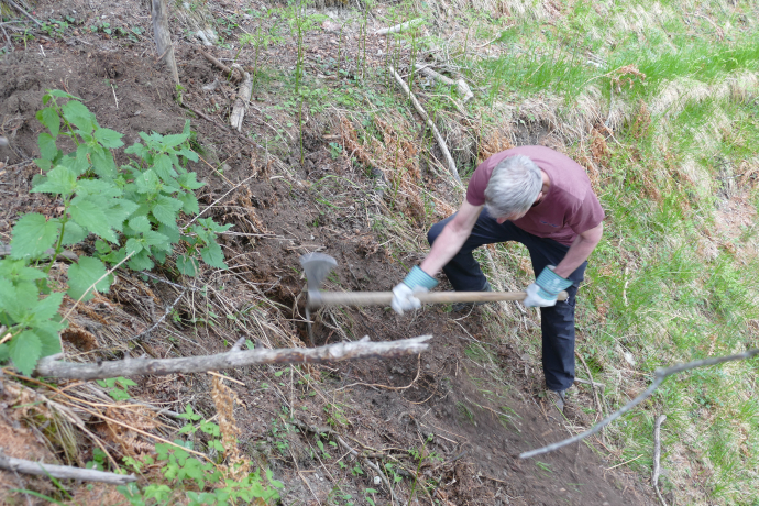 Freiwilliger des Bergwaldprojektes beim Verlegen einer Wasserleitung
