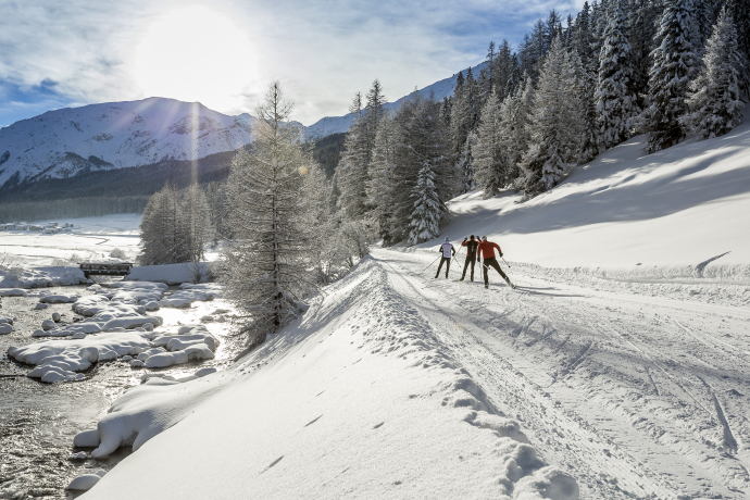 Winter - Langlaufen - Schnee