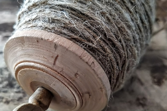 Spinnen