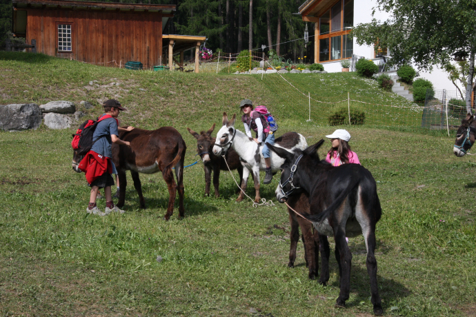Eseltrekking