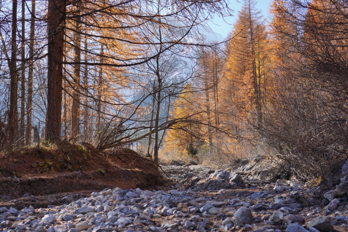  Preview of active image Mark as Rights-Approved License and Expiry Add a location Add an author Add keywords Delete Download Embed photo Share with team Get shareable link Tobias Cueni Details Licensing Add a description Date Added Dec 2, 2022 location Tell us where this is Powered by Google ALBUMS Herbst KEYWORDS Autumn, Berg, Bergspitze, Herbst, Val Müstair, autumn, forest, leaf, natural environment, nature, plant, river, rock, snow, stream, trail, tree, wilderness, winter, woodland