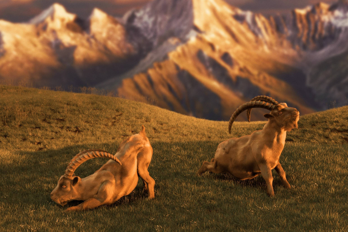 Mach's besser mit Gian & Giachen Titelbild