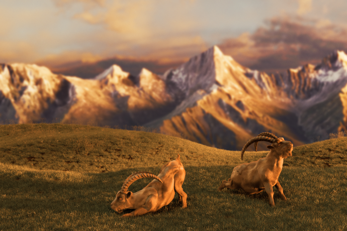 Gian & Giachen beim Yoga