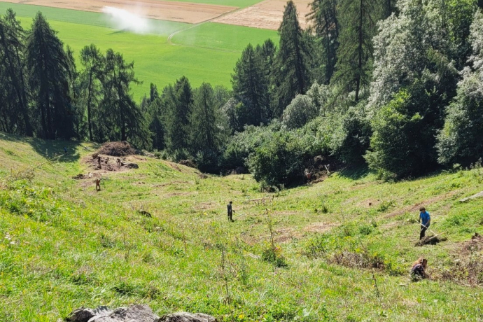 Plaun da Vades nach dem Pflegeeinsatz