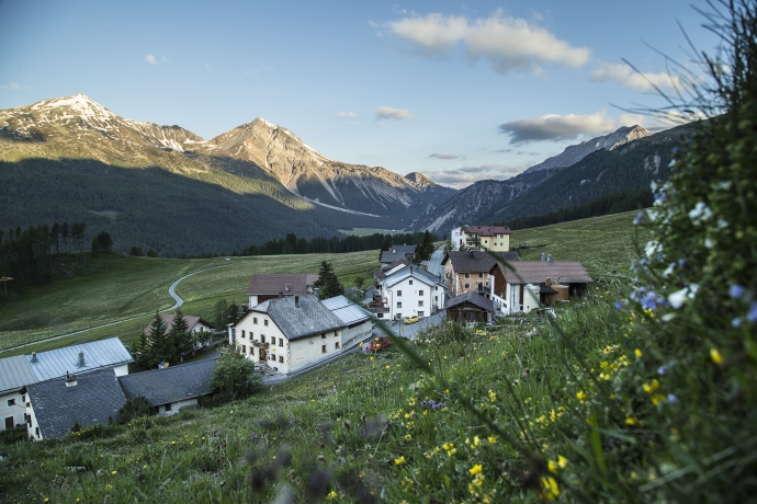 Aussicht von Lü auf den Piz Daint Aussicht von Lü auf den Piz Daint