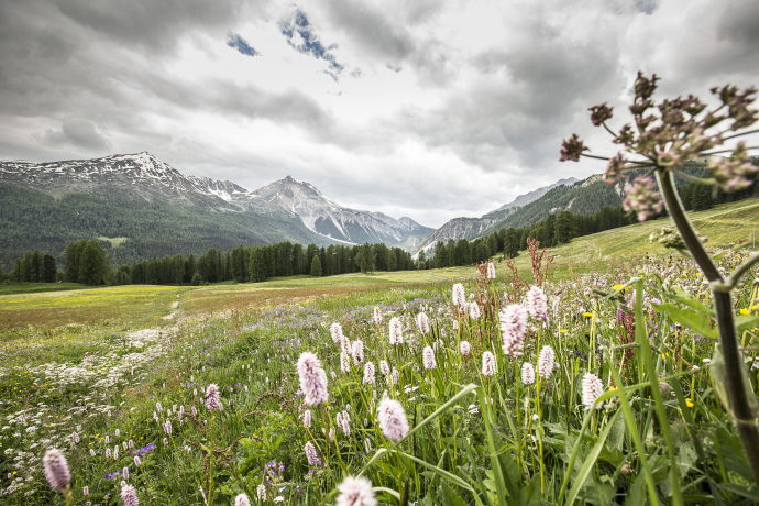 Die schönsten Frühlings-Wanderungen im Val Müstair.