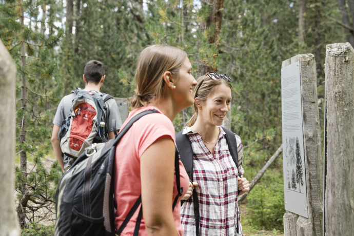 Schweizerischer Nationalpark