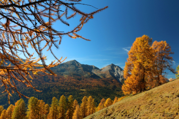 Piz Dora und Piz Daint