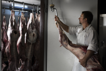 Bacharia Val Müstair