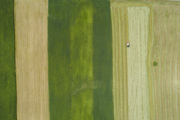 Agricultura Val Müstair