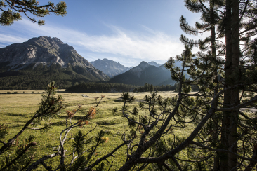 Wandern im Val Müstair