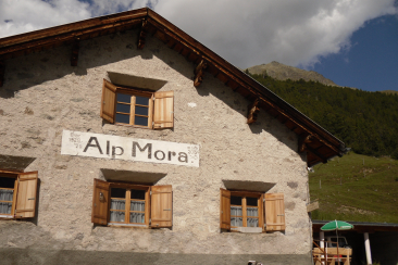 Zuhinderst im Val Mora befindet sich die bewirtschaftete Alp Mora.