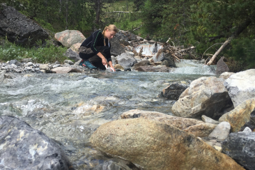 Bioindikation am Fliessgewässer