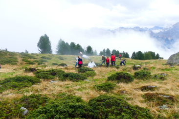 Landschaftspflegeeinsätze