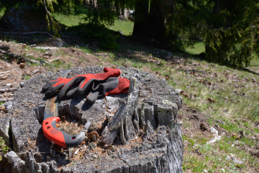 Corporate Volunteering