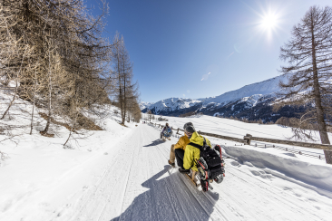 Schlitteln von Lü nach Tschierv