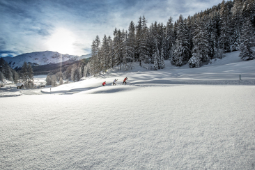 Langlaufen im Val Müstair