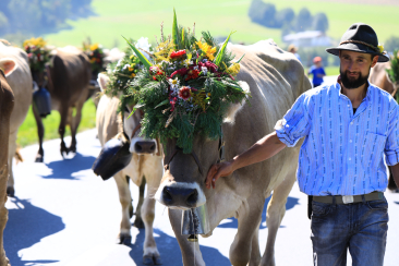 alpabzug, event, glocke, herde, hirte, kopfschmuck, kuh, kuhglocke, kuhherde, kultur, nutztier, schmuck, sommer, tier, val müstair, vm, festival, people