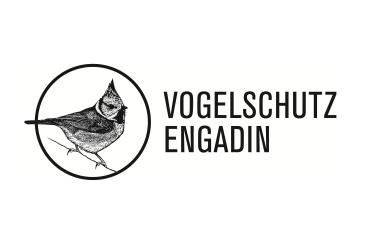 Vogelschutz Engadin
