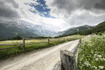 Höhenwanderung im Val Müstair.