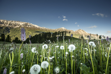 Frühling im Val Müstair.