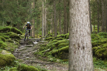 Nicci Tschenett in Action